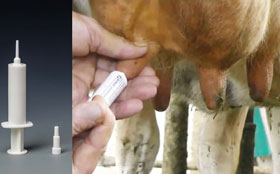 How does syringe for cow mastitis work