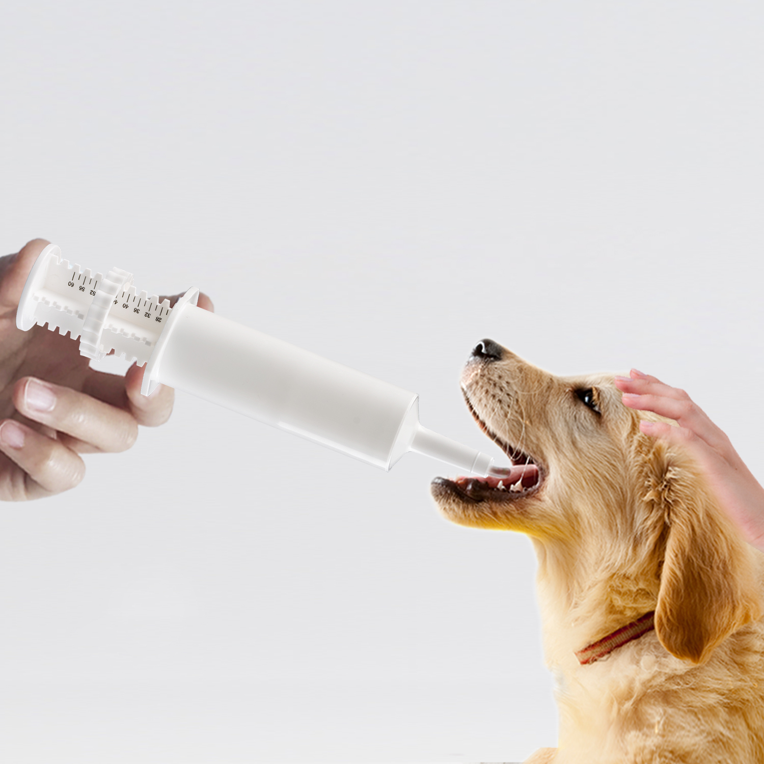 Revolutionizing Pet Medication: The Benefits of Prefilled Syringes for Paste and Liquids